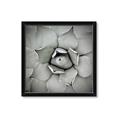 Picture of Eye of the Succulent _GroupedProduct_Square_Photography _GroupedProduct_Square_Framed_Matted_