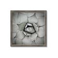 Picture of Eye of the Succulent _GroupedProduct_Square_Photography _GroupedProduct_Square_Framed_Matted_