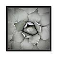 Picture of Eye of the Succulent _GroupedProduct_Square_Photography _GroupedProduct_Square_Framed_Matted_