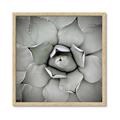 Picture of Eye of the Succulent _GroupedProduct_Square_Photography _GroupedProduct_Square_Framed_Matted_