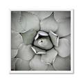 Picture of Eye of the Succulent _GroupedProduct_Square_Photography _GroupedProduct_Square_Framed_Matted_