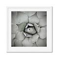 Picture of Eye of the Succulent _GroupedProduct_Square_Photography _GroupedProduct_Square_Framed_Matted_