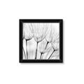 Picture of B&W Flowers end _GroupedProduct_Square_Photography _GroupedProduct_Square_Framed_Matted_