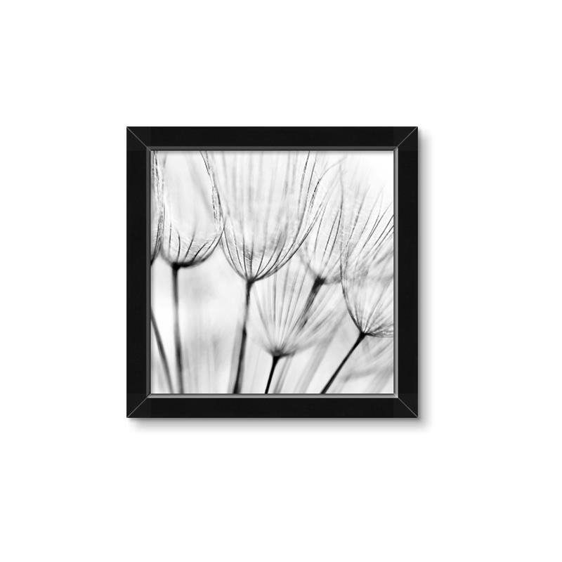 Picture of B&W Flowers end _GroupedProduct_Square_Photography _GroupedProduct_Square_Framed_Matted_
