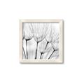 Picture of B&W Flowers end _GroupedProduct_Square_Photography _GroupedProduct_Square_Framed_Matted_