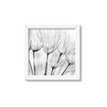 Picture of B&W Flowers end _GroupedProduct_Square_Photography _GroupedProduct_Square_Framed_Matted_