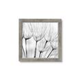 Picture of B&W Flowers end _GroupedProduct_Square_Photography _GroupedProduct_Square_Framed_Matted_