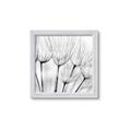 Picture of B&W Flowers end _GroupedProduct_Square_Photography _GroupedProduct_Square_Framed_Matted_