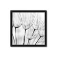 Picture of B&W Flowers end _GroupedProduct_Square_Photography _GroupedProduct_Square_Framed_Matted_