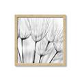 Picture of B&W Flowers end _GroupedProduct_Square_Photography _GroupedProduct_Square_Framed_Matted_
