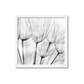 Picture of B&W Flowers end _GroupedProduct_Square_Photography _GroupedProduct_Square_Framed_Matted_