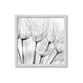 Picture of B&W Flowers end _GroupedProduct_Square_Photography _GroupedProduct_Square_Framed_Matted_