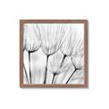 Picture of B&W Flowers end _GroupedProduct_Square_Photography _GroupedProduct_Square_Framed_Matted_