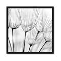 Picture of B&W Flowers end _GroupedProduct_Square_Photography _GroupedProduct_Square_Framed_Matted_