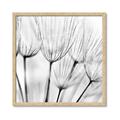 Picture of B&W Flowers end _GroupedProduct_Square_Photography _GroupedProduct_Square_Framed_Matted_