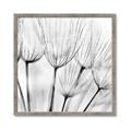 Picture of B&W Flowers end _GroupedProduct_Square_Photography _GroupedProduct_Square_Framed_Matted_