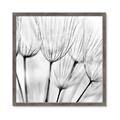 Picture of B&W Flowers end _GroupedProduct_Square_Photography _GroupedProduct_Square_Framed_Matted_
