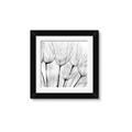 Picture of B&W Flowers end _GroupedProduct_Square_Photography _GroupedProduct_Square_Framed_Matted_
