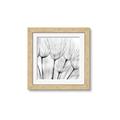 Picture of B&W Flowers end _GroupedProduct_Square_Photography _GroupedProduct_Square_Framed_Matted_