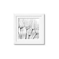 Picture of B&W Flowers end _GroupedProduct_Square_Photography _GroupedProduct_Square_Framed_Matted_