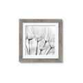 Picture of B&W Flowers end _GroupedProduct_Square_Photography _GroupedProduct_Square_Framed_Matted_