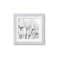 Picture of B&W Flowers end _GroupedProduct_Square_Photography _GroupedProduct_Square_Framed_Matted_