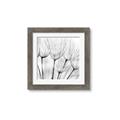 Picture of B&W Flowers end _GroupedProduct_Square_Photography _GroupedProduct_Square_Framed_Matted_