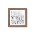 Picture of B&W Flowers end _GroupedProduct_Square_Photography _GroupedProduct_Square_Framed_Matted_