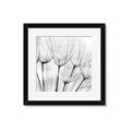 Picture of B&W Flowers end _GroupedProduct_Square_Photography _GroupedProduct_Square_Framed_Matted_