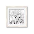 Picture of B&W Flowers end _GroupedProduct_Square_Photography _GroupedProduct_Square_Framed_Matted_