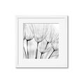 Picture of B&W Flowers end _GroupedProduct_Square_Photography _GroupedProduct_Square_Framed_Matted_