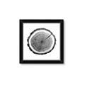 Picture of Log Slice I _GroupedProduct_Square_Photography _GroupedProduct_Square_Framed_Matted_