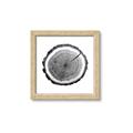 Picture of Log Slice I _GroupedProduct_Square_Photography _GroupedProduct_Square_Framed_Matted_