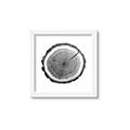 Picture of Log Slice I _GroupedProduct_Square_Photography _GroupedProduct_Square_Framed_Matted_