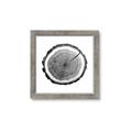 Picture of Log Slice I _GroupedProduct_Square_Photography _GroupedProduct_Square_Framed_Matted_