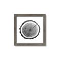 Picture of Log Slice I _GroupedProduct_Square_Photography _GroupedProduct_Square_Framed_Matted_