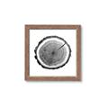 Picture of Log Slice I _GroupedProduct_Square_Photography _GroupedProduct_Square_Framed_Matted_