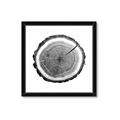 Picture of Log Slice I _GroupedProduct_Square_Photography _GroupedProduct_Square_Framed_Matted_