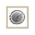 Picture of Log Slice I _GroupedProduct_Square_Photography _GroupedProduct_Square_Framed_Matted_