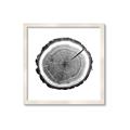 Picture of Log Slice I _GroupedProduct_Square_Photography _GroupedProduct_Square_Framed_Matted_