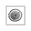 Picture of Log Slice I _GroupedProduct_Square_Photography _GroupedProduct_Square_Framed_Matted_