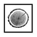 Picture of Log Slice I _GroupedProduct_Square_Photography _GroupedProduct_Square_Framed_Matted_