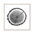Picture of Log Slice I _GroupedProduct_Square_Photography _GroupedProduct_Square_Framed_Matted_