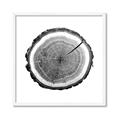 Picture of Log Slice I _GroupedProduct_Square_Photography _GroupedProduct_Square_Framed_Matted_