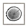 Picture of Log Slice I _GroupedProduct_Square_Photography _GroupedProduct_Square_Framed_Matted_