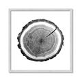 Picture of Log Slice I _GroupedProduct_Square_Photography _GroupedProduct_Square_Framed_Matted_