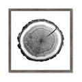 Picture of Log Slice I _GroupedProduct_Square_Photography _GroupedProduct_Square_Framed_Matted_