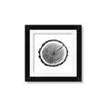 Picture of Log Slice I _GroupedProduct_Square_Photography _GroupedProduct_Square_Framed_Matted_