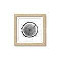 Picture of Log Slice I _GroupedProduct_Square_Photography _GroupedProduct_Square_Framed_Matted_