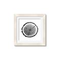 Picture of Log Slice I _GroupedProduct_Square_Photography _GroupedProduct_Square_Framed_Matted_